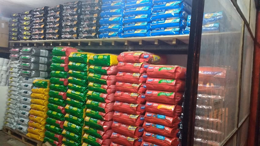 Todo Mascotas Peluqueria Canina