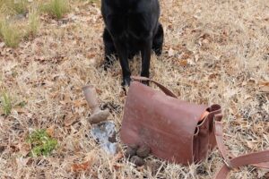 Trufas del Nuevo Mundo