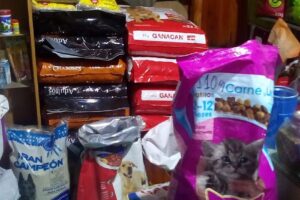 Tu Mascota Alimento Para Animales