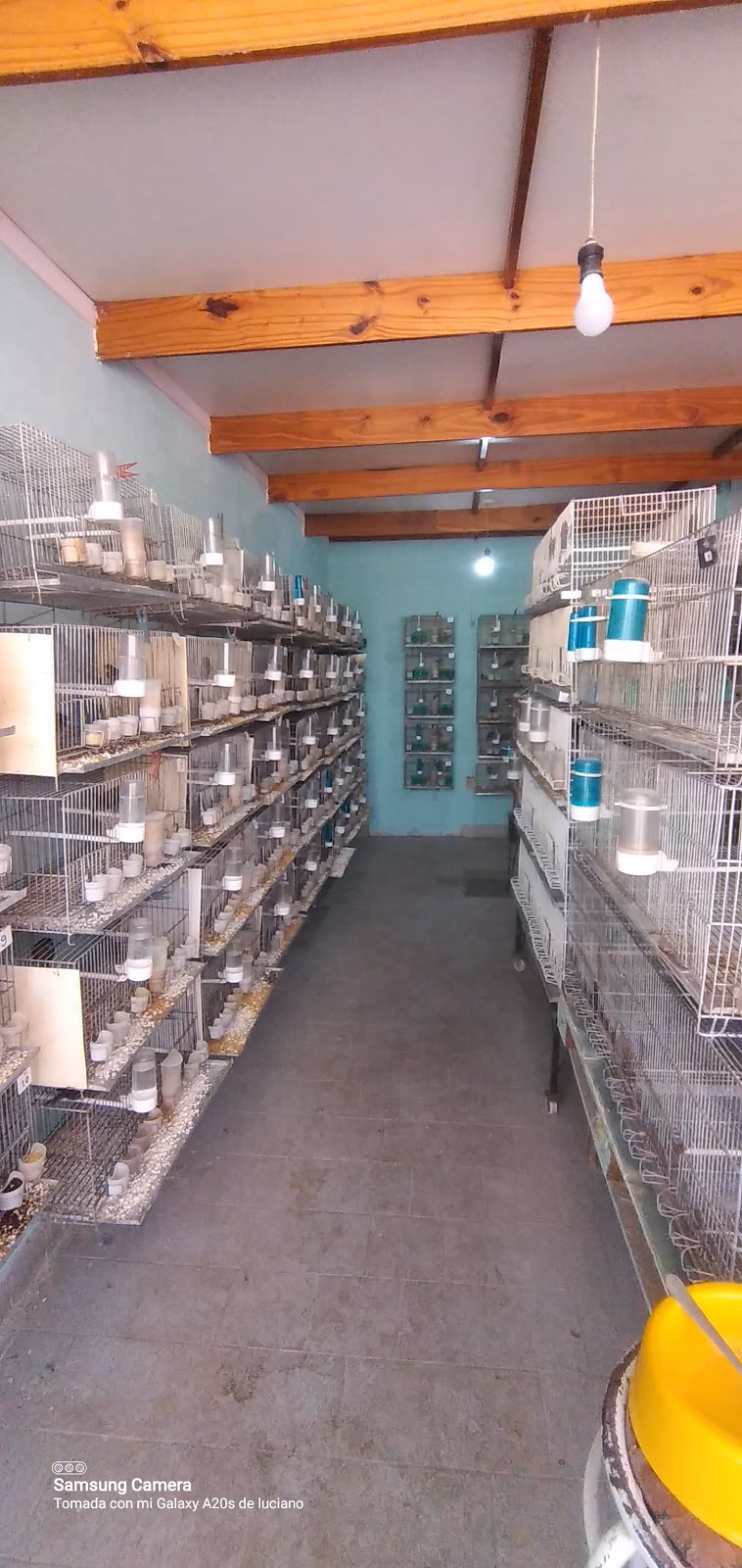 Tymai tienda de mascotas