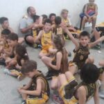 Upa Traslados de mascotas