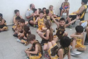 Upa Traslados de mascotas