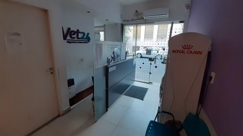 Vet 24