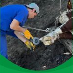 Veterinaria Argentina