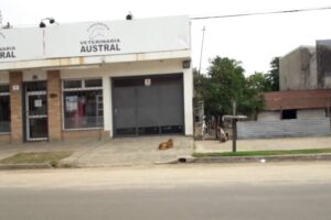 Veterinaria Austral Equinos