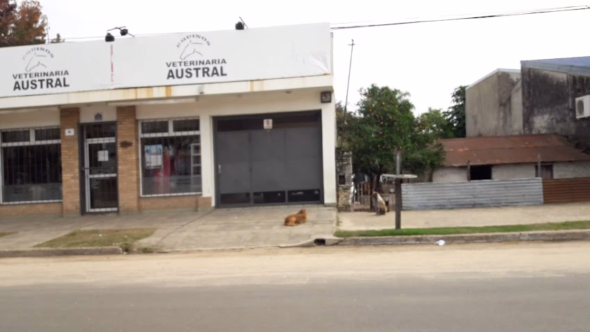Veterinaria Austral Equinos