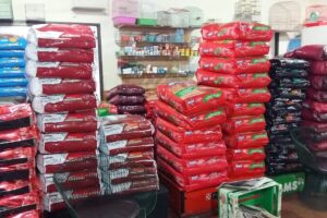 Veterinaria Bichos y Bichas