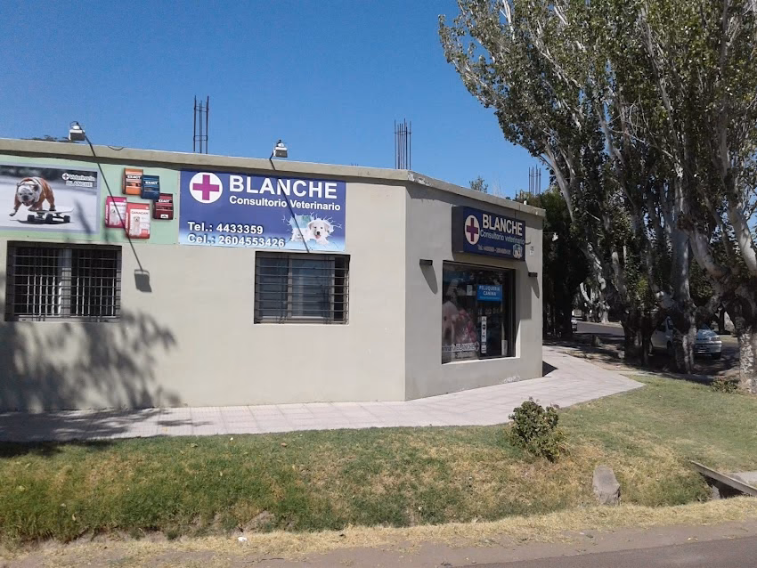 Veterinaria Blanche Centro de San Rafael