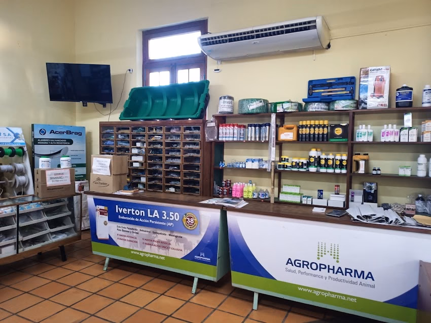 Veterinaria Borderes