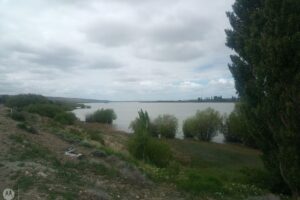 Veterinaria Buenas Costumbres