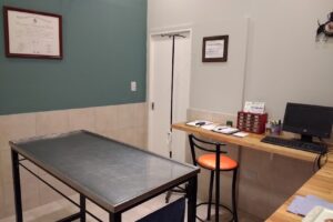 Veterinaria Cachorros