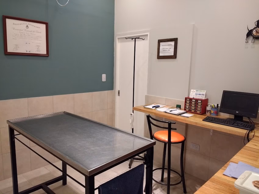 Veterinaria Cachorros