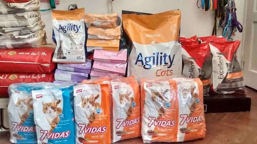 Veterinaria Campo y Mascotas