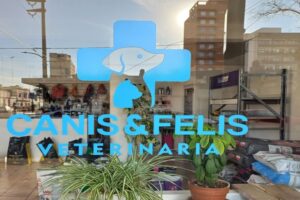 Veterinaria Canis y Felis