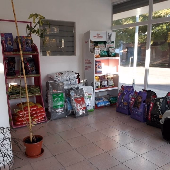 Veterinaria Canis y Felis