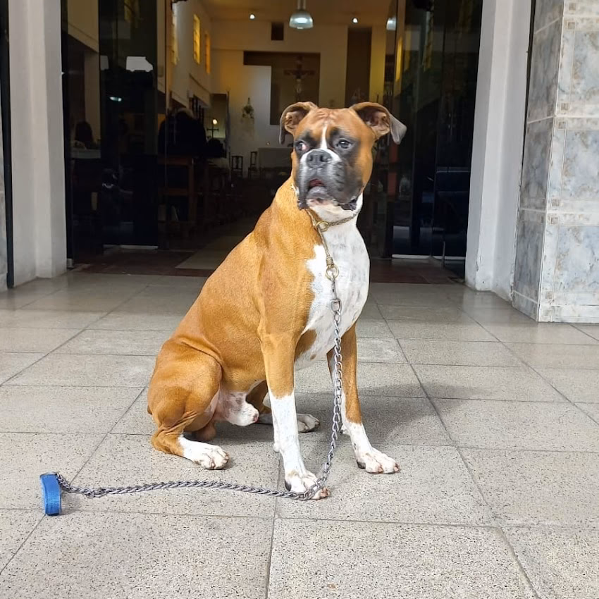Veterinaria Ciudad Jardín
