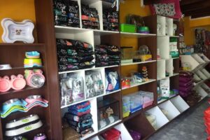 Veterinaria Como Perro Y Gato