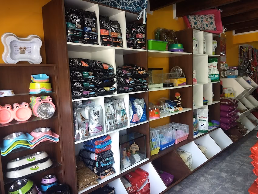 Veterinaria Como Perro Y Gato