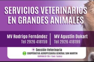 Veterinaria Cooperativa Agropecuaria Gral San Martin