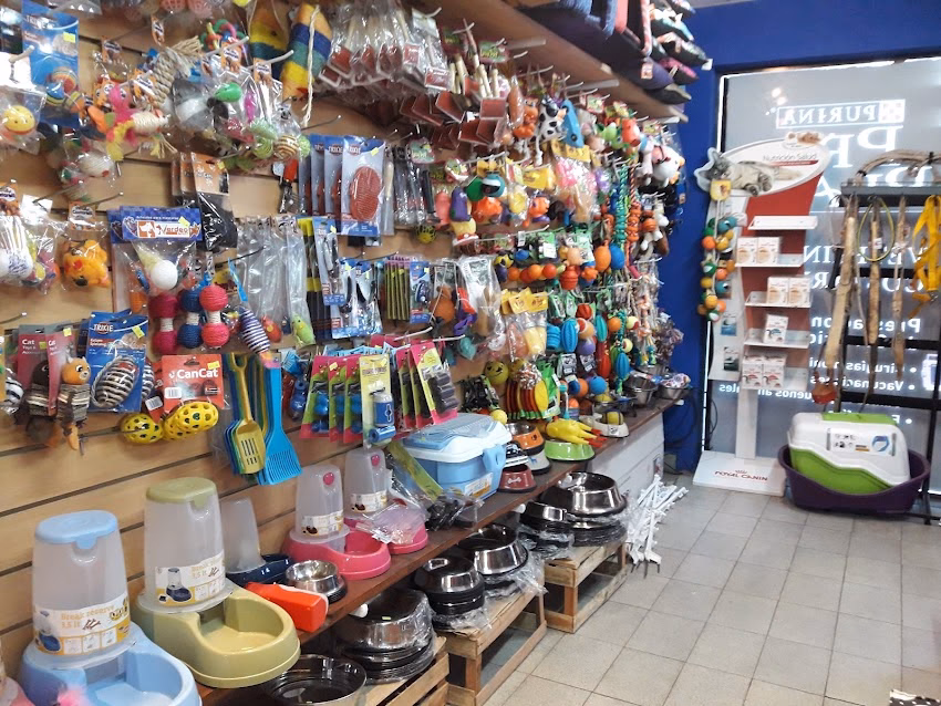 Veterinaria Costarelli