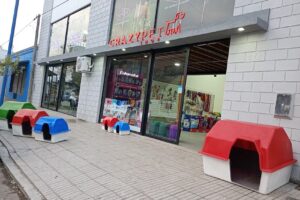 Veterinaria Crazy Pet Junin