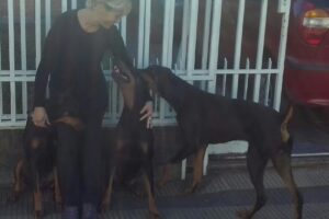 Veterinaria Di Stefano