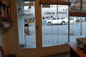 Veterinaria Diógenes