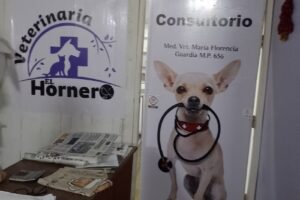 Veterinaria El Hornero