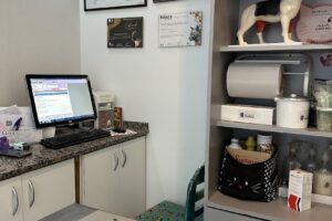 Veterinaria El Perro Verde