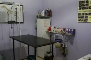 Veterinaria El Prado