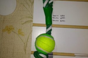 Veterinaria en Mendoza