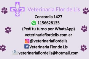 Veterinaria Flor de Lis