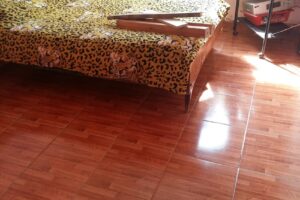 Veterinaria Frias del Dr Gonzalo Torres Jiménez