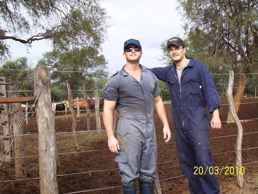 Veterinaria Frias del Dr Gonzalo Torres Jiménez