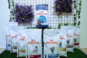 Veterinaria Garden Pet Boutique de mascotas Peluquería canina