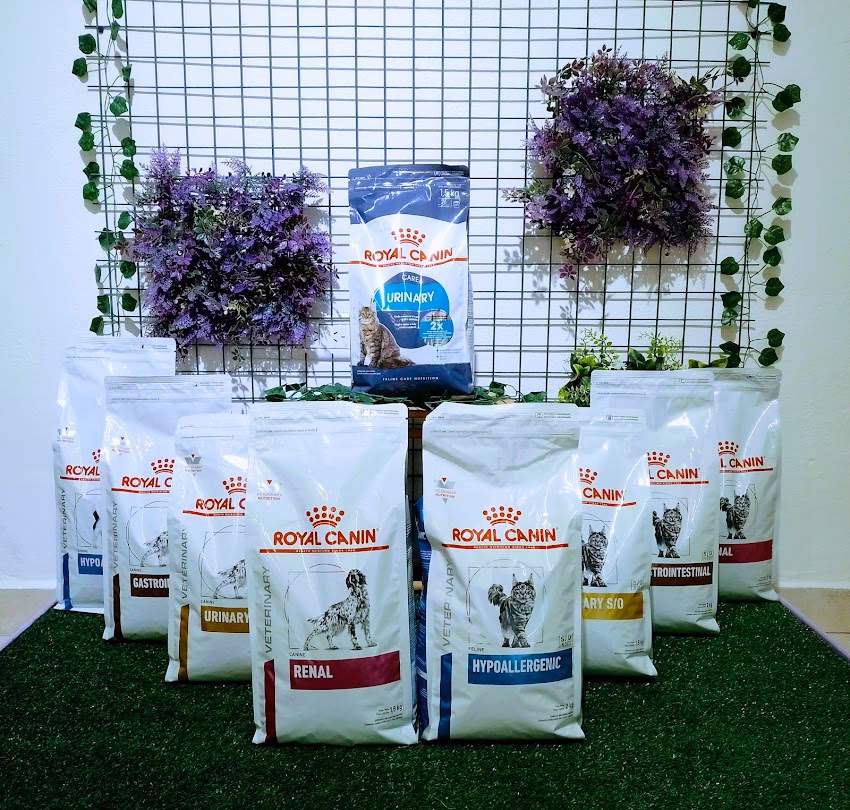Veterinaria Garden Pet Boutique de mascotas Peluquería canina