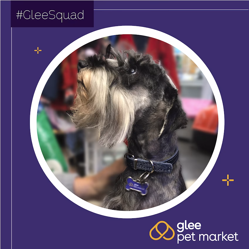 Veterinaria Glee Pet Market Veterinaria Y Pet Shop Sucursal Hipermercado Carrefour Recta Martinolli