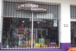 Veterinaria Guastavino