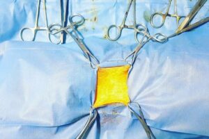 Veterinaria Home Vetho MiMos Gerli