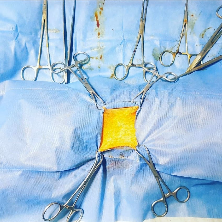 Veterinaria Home Vetho MiMos Gerli