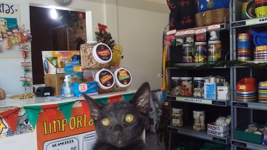 Veterinaria Isidro Casanova