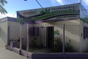 Veterinaria Karumbe