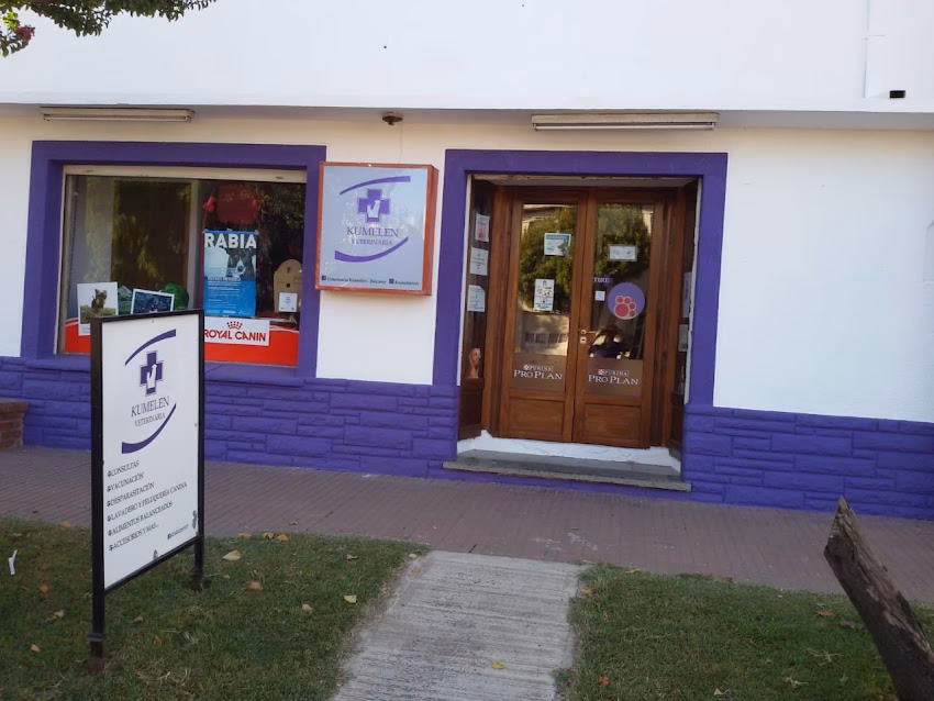 Veterinaria Kümelen