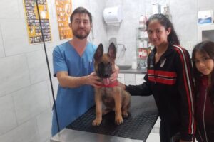 Veterinaria La Esquina de tu Mascota