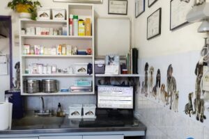 Veterinaria La Mascota