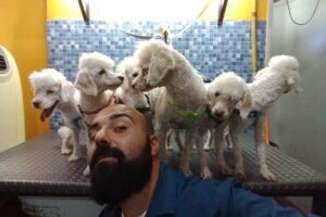 Veterinaria La Mascota atencion con Turnos