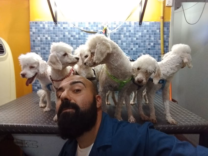 Veterinaria La Mascota atencion con Turnos