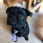 Veterinaria la Tranquera