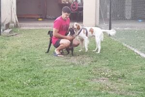 Veterinaria Los Aromos