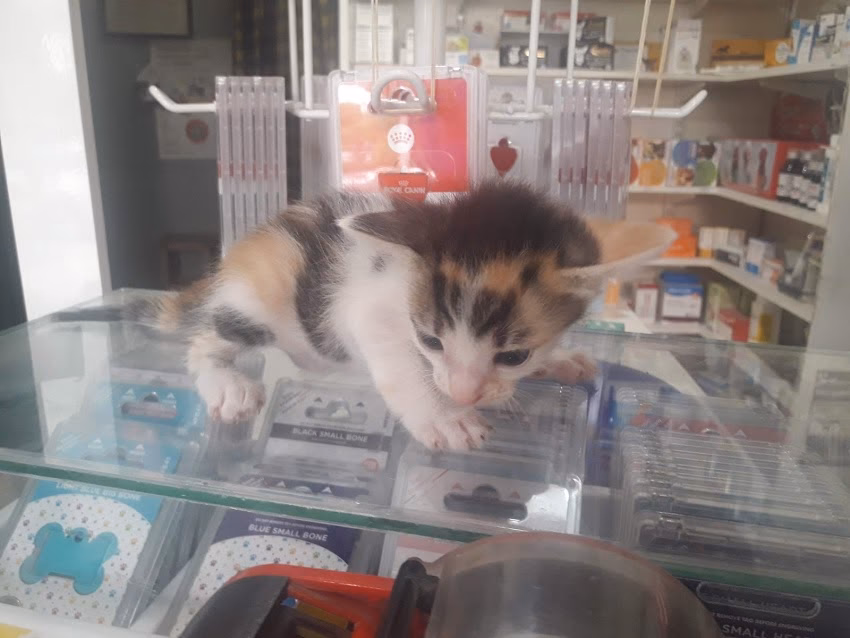 Veterinaria Los Cardales